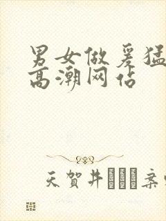 男女做爰猛烈动高潮网站