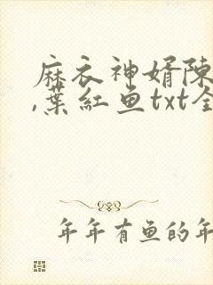 麻衣神婿陈黄皮,叶红鱼txt全文下载