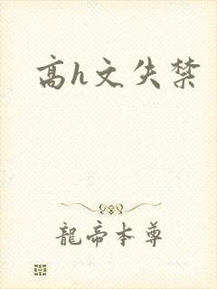高h文失禁
