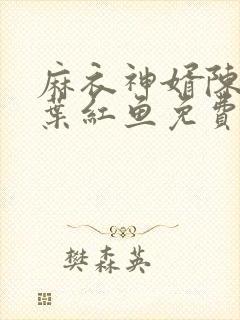 麻衣神婿陈黄皮叶红鱼免费阅读全文