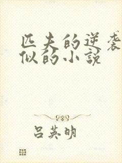 匹夫的逆袭和类似的小说