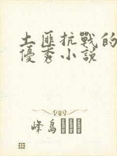 土匪抗战的长篇优秀小说封面