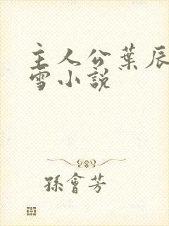 主人公叶辰夏若雪小说