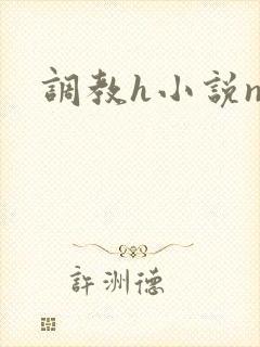 调教h小说np