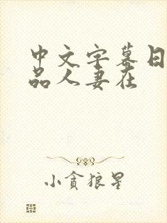 中文字幕日韩精品人妻在封面