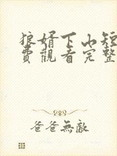 狼婿下山短剧免费观看完整版