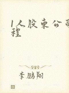 1人股东公司章程