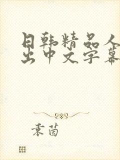 日韩精品人妻中出中文字幕