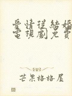 爱情从结婚开始电视剧免费观看全集
