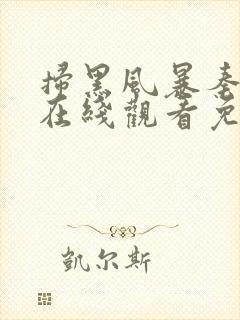 扫黑风暴秦昊版在线观看免费完整版