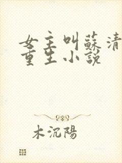 女主叫苏清婉的重生小说