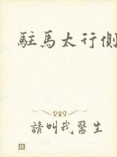 驻马太行侧
