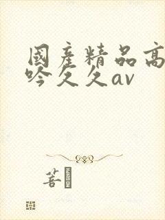 国产精品高潮呻吟久久av
