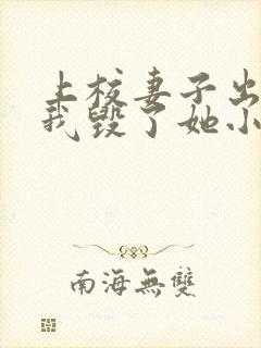 上校妻子出轨,我毁了她小说