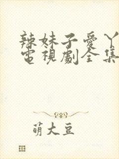 辣妹子爱丫爱丫电视剧全集免费播放封面