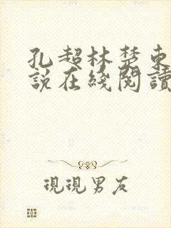 孔超林楚东恒小说在线阅读