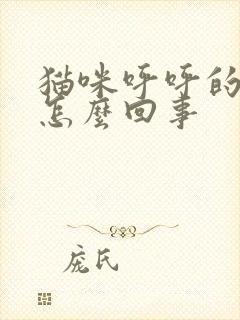 猫咪呼呼的声音怎么回事