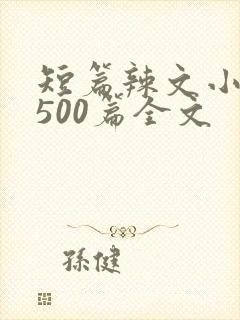 短篇辣文小说集500篇全文
