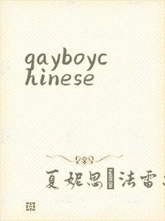gayboychinese