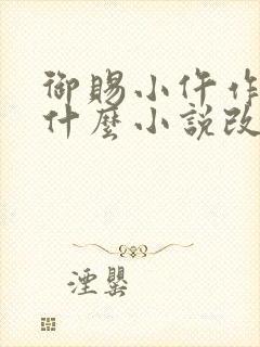 御赐小仵作根据什么小说改编