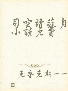 司空靖苏月汐的小说免费封面