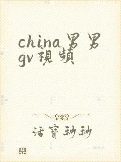china男男gv视频