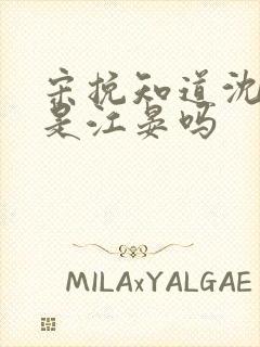 宋挽知道沈千聿是江晏吗