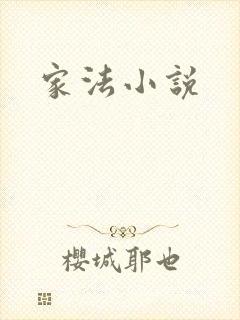 家法小说