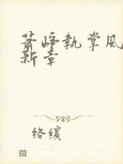 萧峥执掌风云最新章