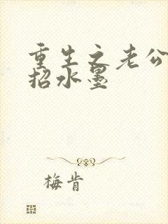 重生之老公请接招水墨