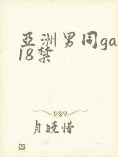 亚洲男同gay18禁封面
