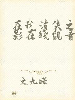 在我消失之前电影在线观看免费播放