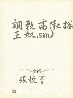 调教高傲总裁(主奴,sm)