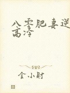 八零肥妻逆袭,高冷封面