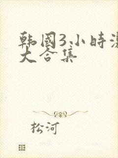 韩国3小时激情大合集