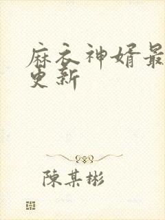 麻衣神婿最新近更新封面