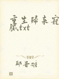 重生归来宠夫不腻txt