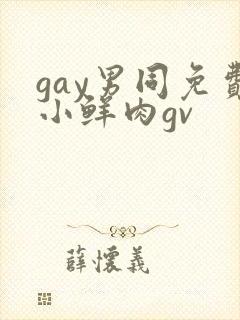 gay男同免费小鲜肉gv