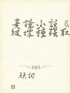 麦镜小说《被顶级坏种强取豪夺了》封面