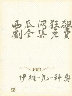 西瓜网狂飙电视剧全集免费播放封面