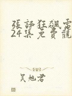 张译狂飙电视剧24集免费观看