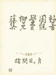 藤柳学园动漫全集免费观看