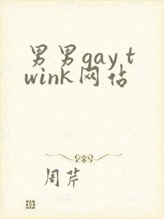 男男gay twink网站