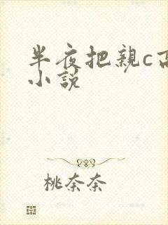 半夜把亲c高潮小说封面