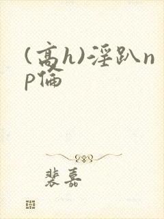 (高h)淫趴np伦