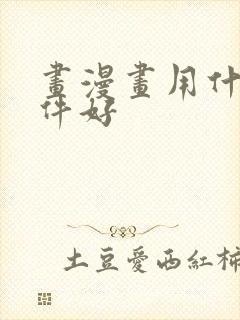 画漫画用什么软件好