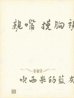 亲嘴 摸胸视频