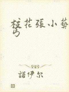 校花张小艺与乞丐