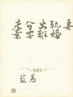 老公出轨妻子执意要离婚封面