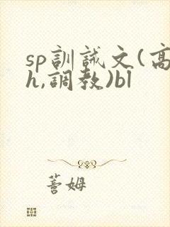 sp训诫文(高h,调教)bl